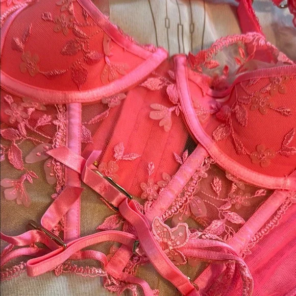NWT Honey Birdette SABRINA Candy Pink Lace Bustier 36F - Picture 5 of 5